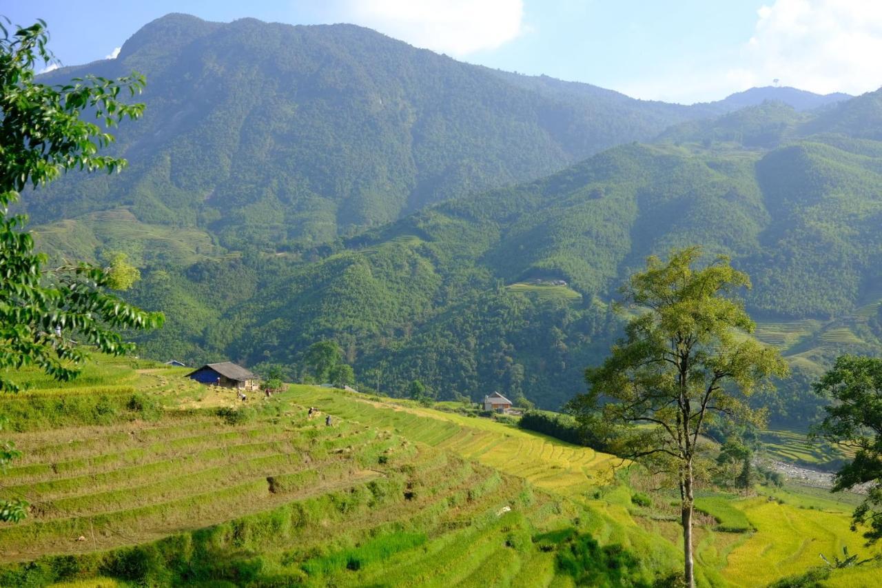 Sapa Hmong Bungalow Homestay Exteriér fotografie