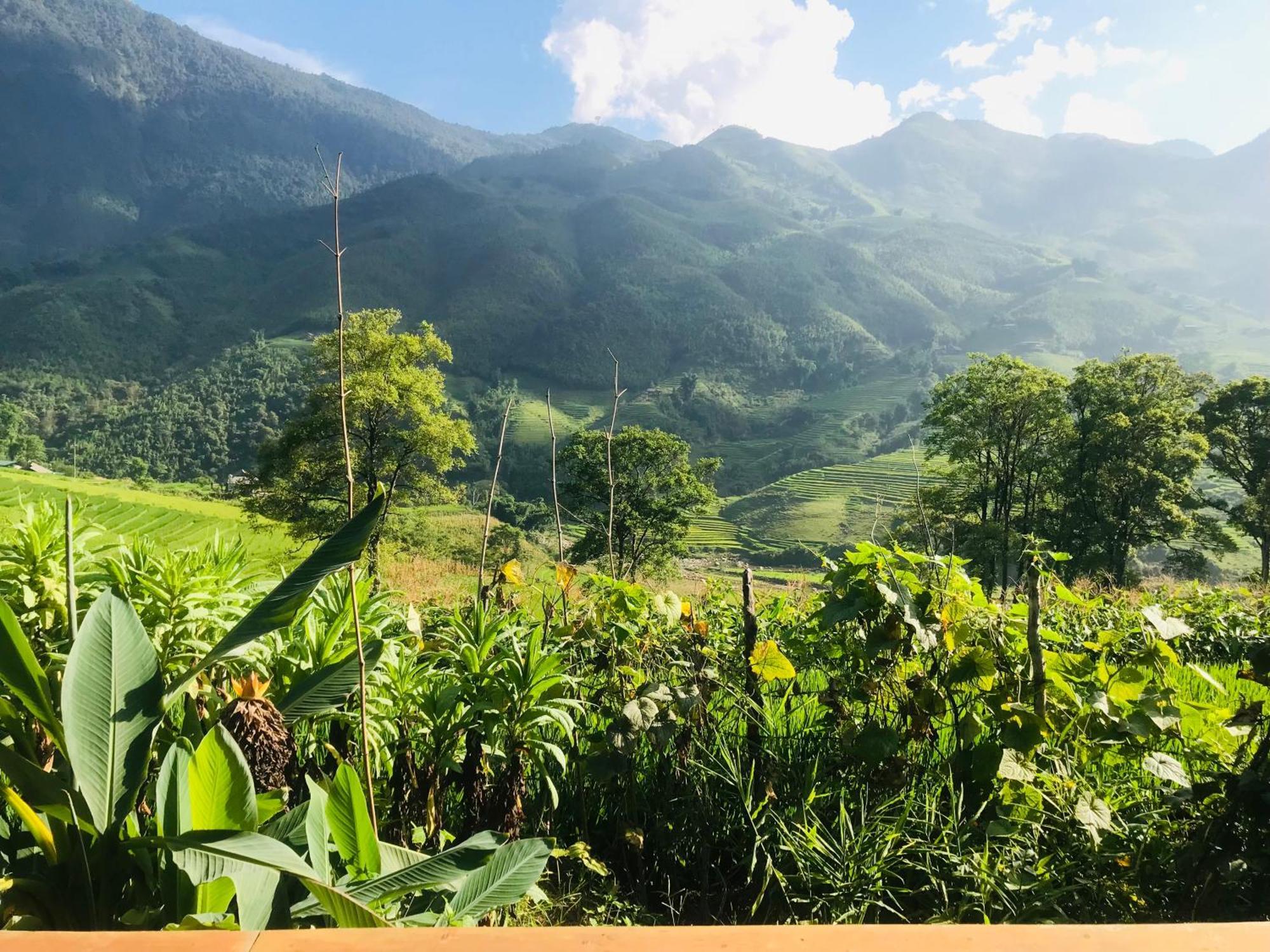 Sapa Hmong Bungalow Homestay Pokoj fotografie