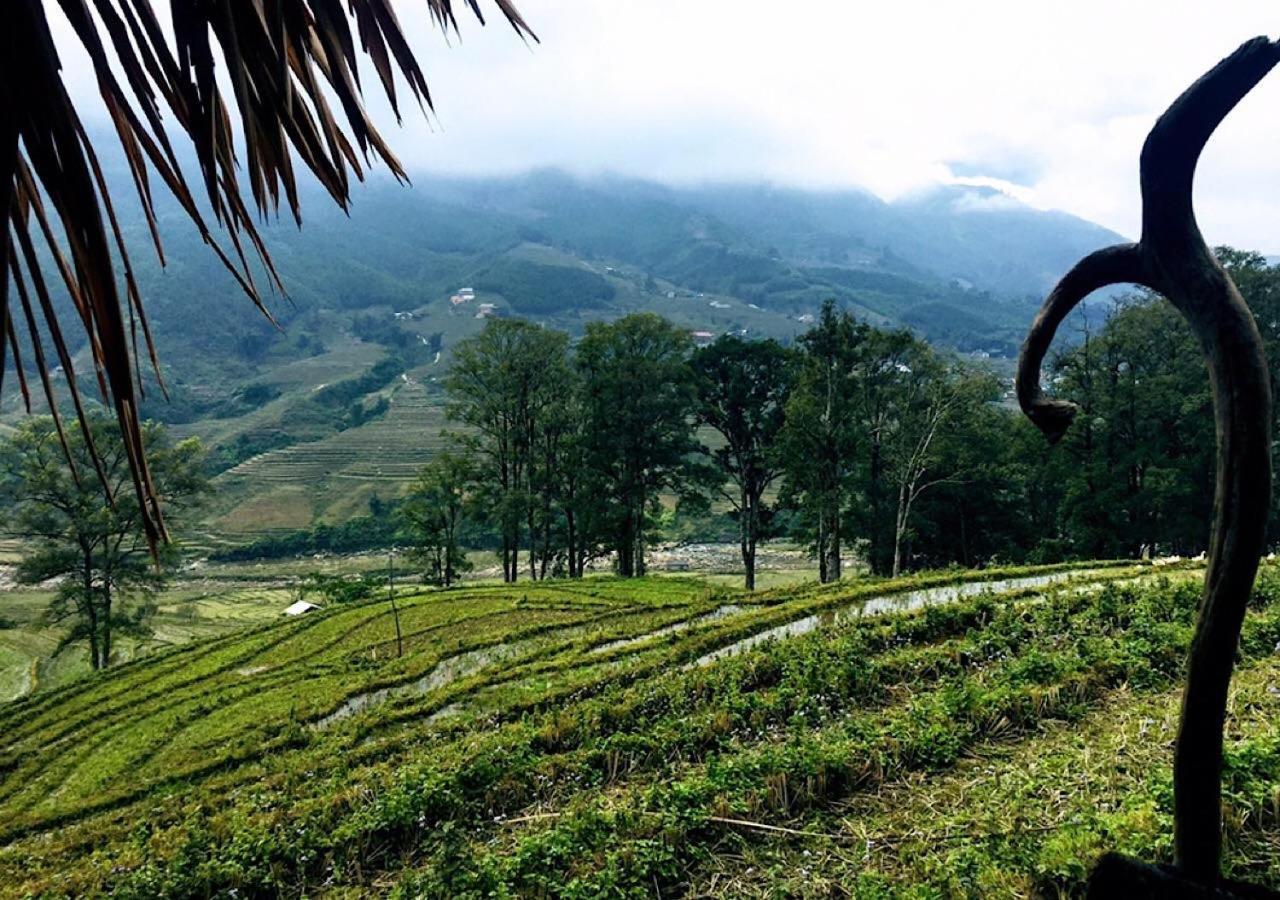 Sapa Hmong Bungalow Homestay Exteriér fotografie